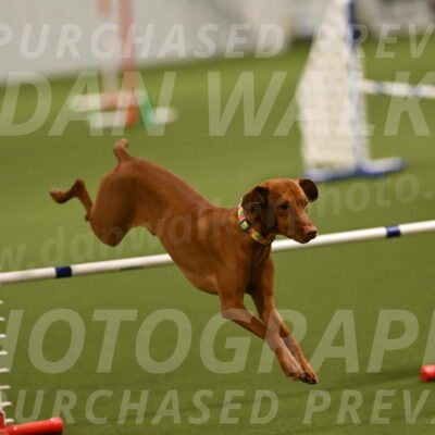 Rumble-Tim-Dillon-02838