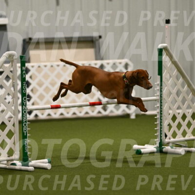 Rumble-Tim-Dillon-02839