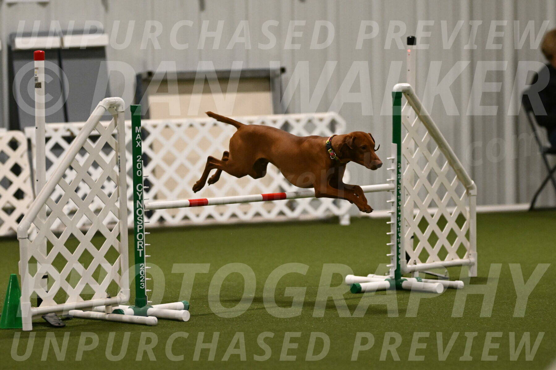 Rumble-Tim-Dillon-02839