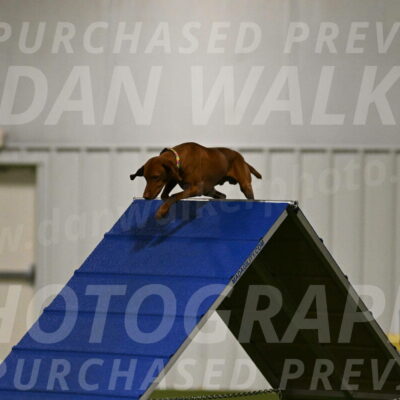 Rumble-Tim-Dillon-02840