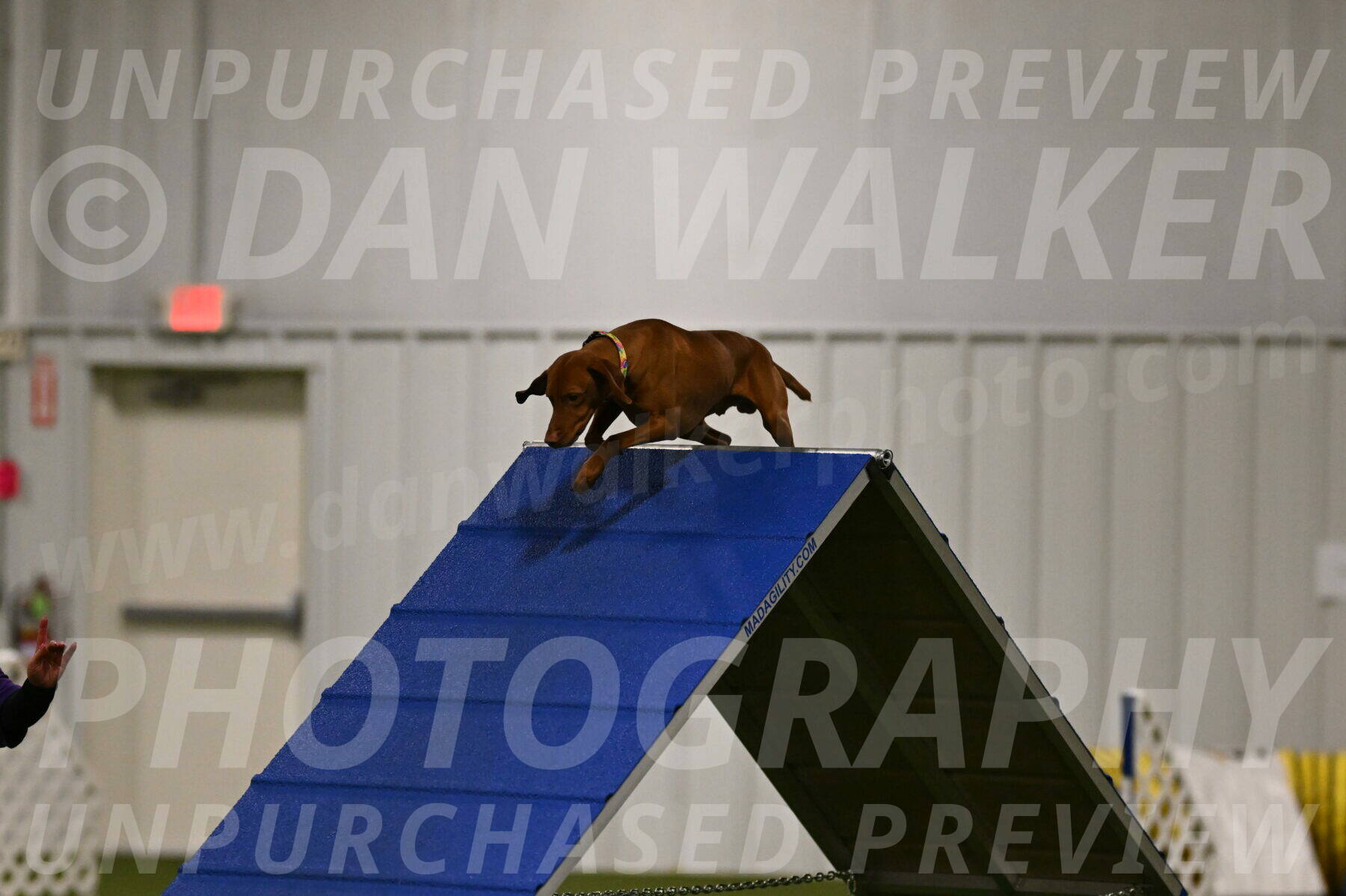 Rumble-Tim-Dillon-02840