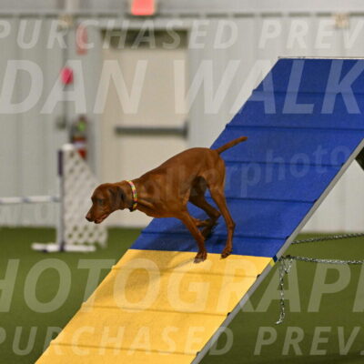 Rumble-Tim-Dillon-02841