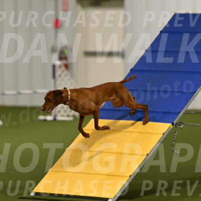 Rumble-Tim-Dillon-02842