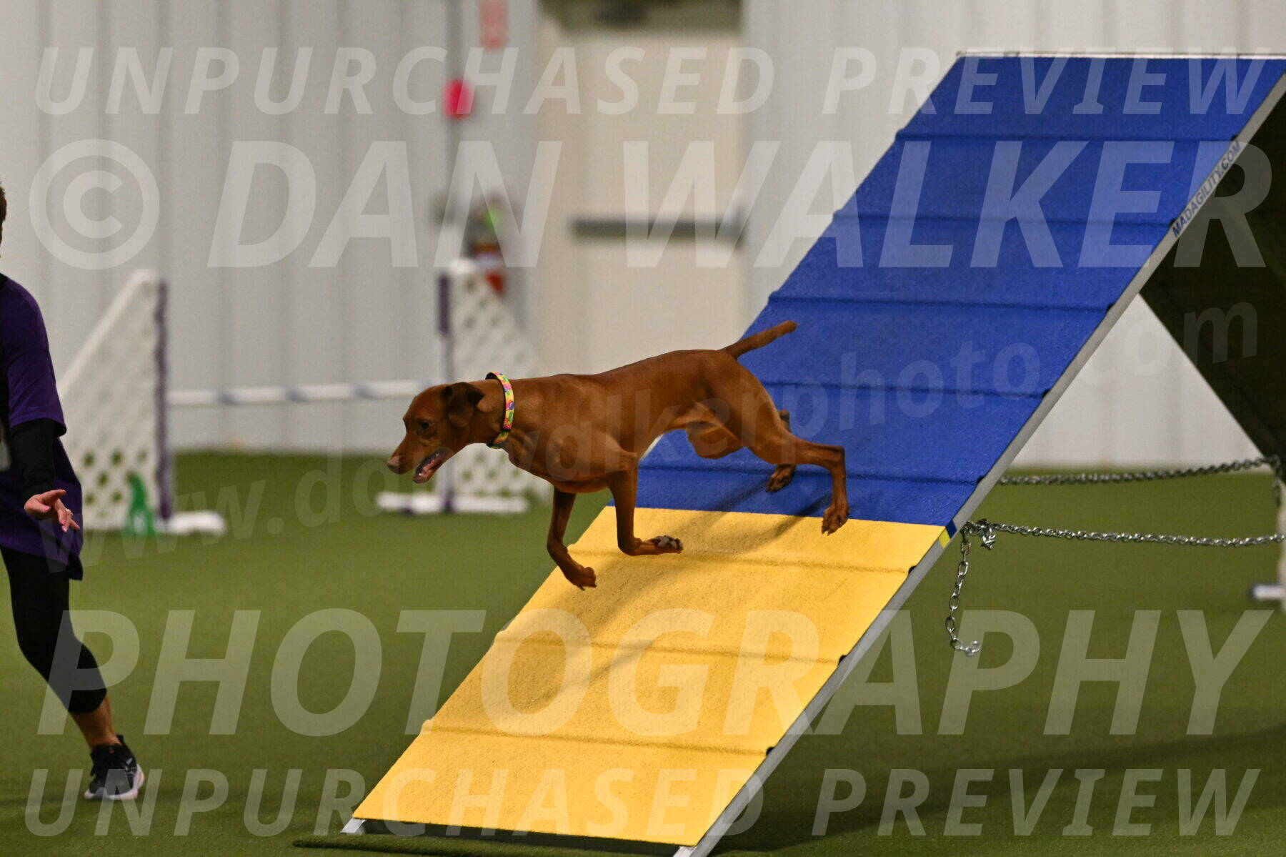 Rumble-Tim-Dillon-02842