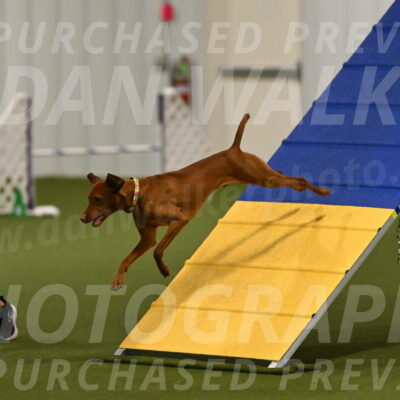 Rumble-Tim-Dillon-02843