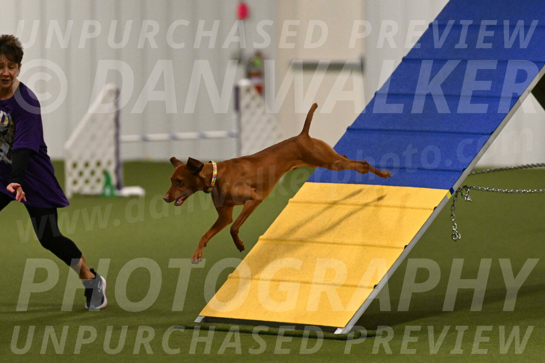 Rumble-Tim-Dillon-02843