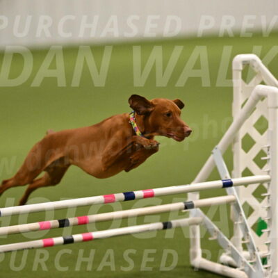 Rumble-Tim-Dillon-02844