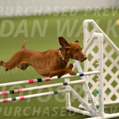 Rumble-Tim-Dillon-02845