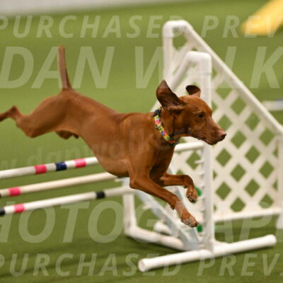 Rumble-Tim-Dillon-02846