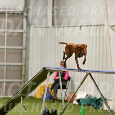 Rumble-Tim-Dillon-02848