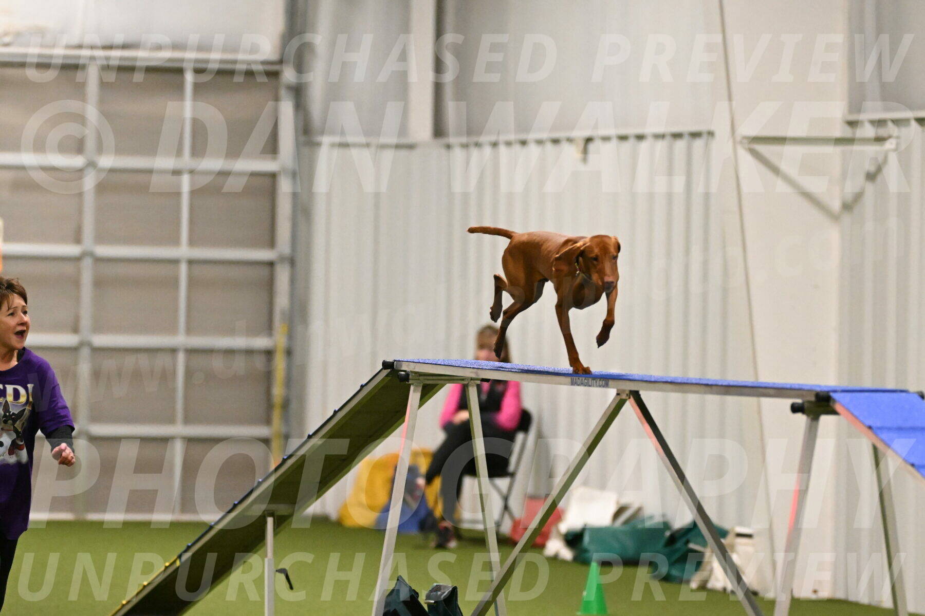 Rumble-Tim-Dillon-02848