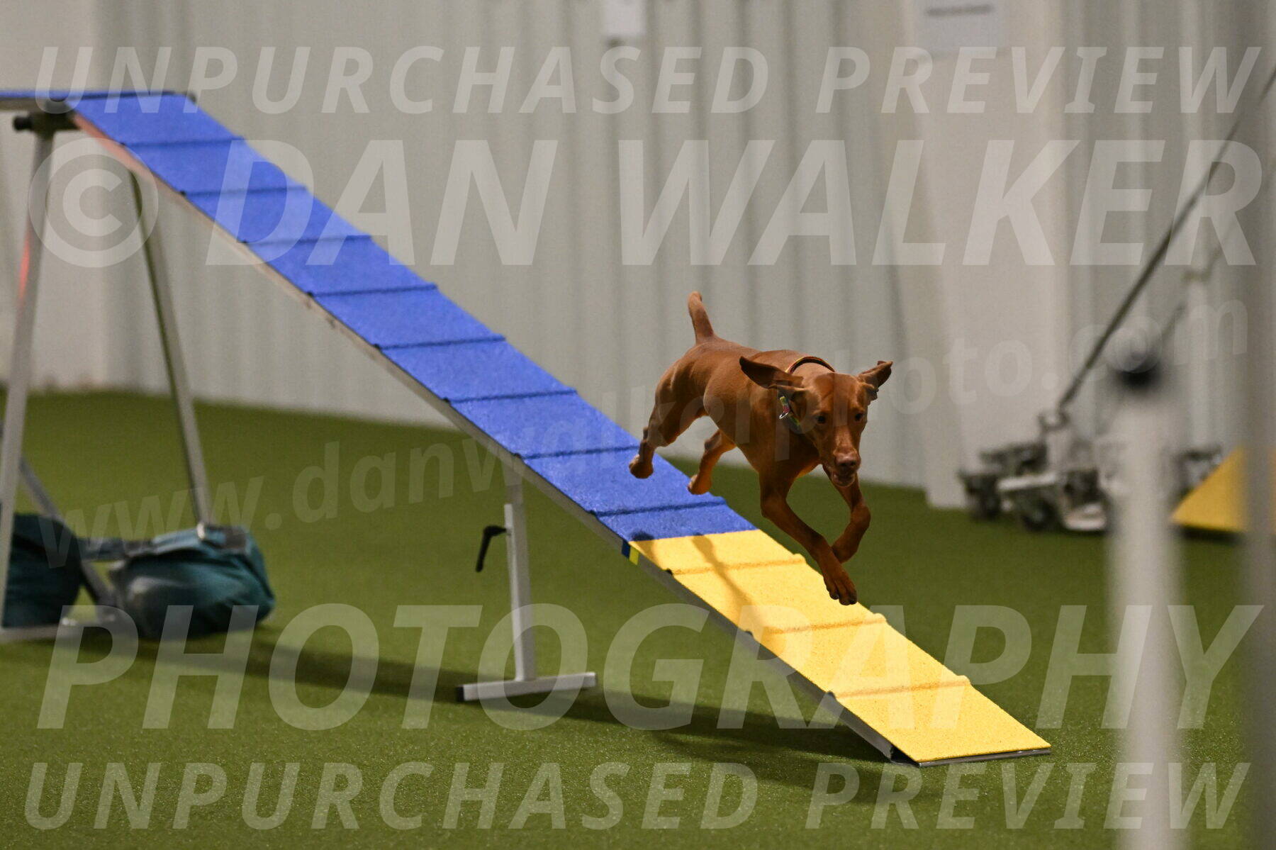 Rumble-Tim-Dillon-02849