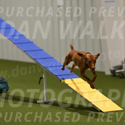 Rumble-Tim-Dillon-02849