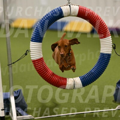 Rumble-Tim-Dillon-02850