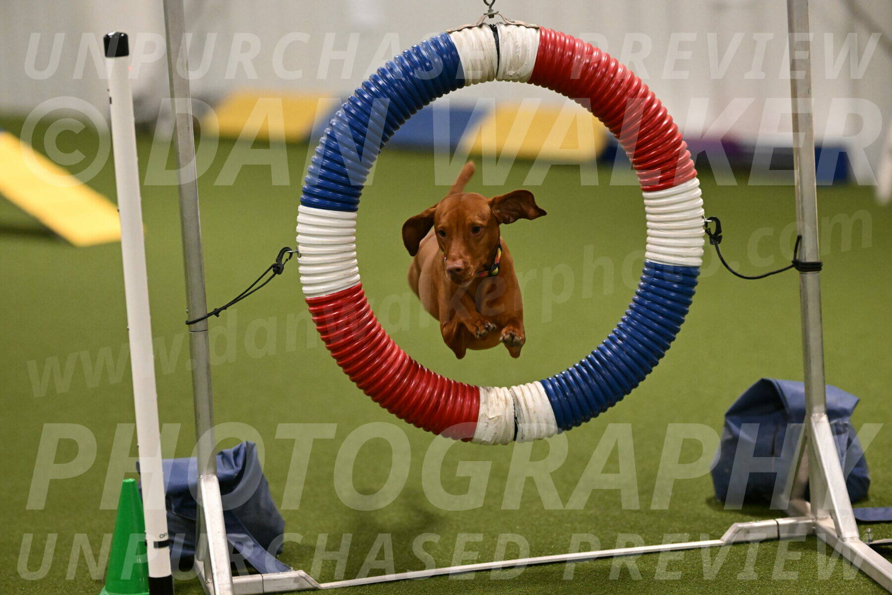 Rumble-Tim-Dillon-02850