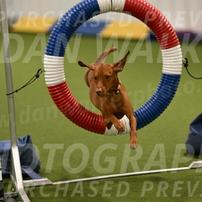 Rumble-Tim-Dillon-02851