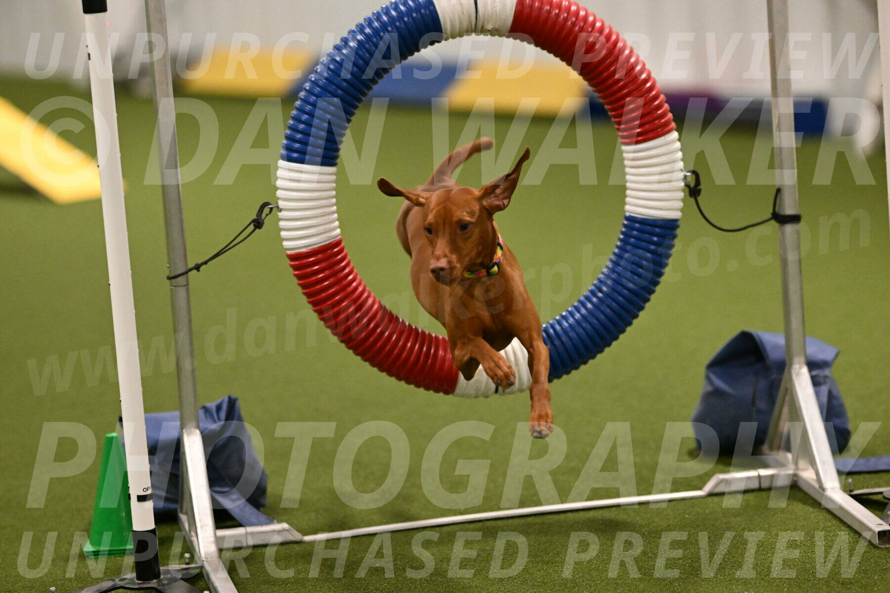 Rumble-Tim-Dillon-02851