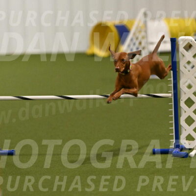 Rumble-Tim-Dillon-02852