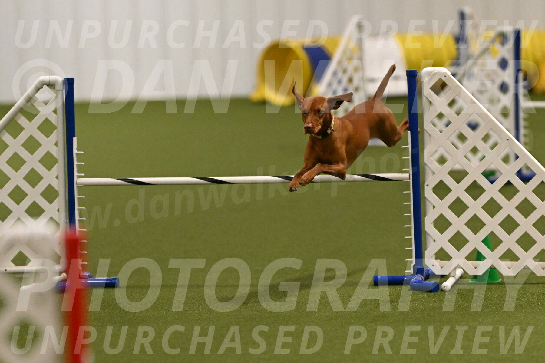 Rumble-Tim-Dillon-02852