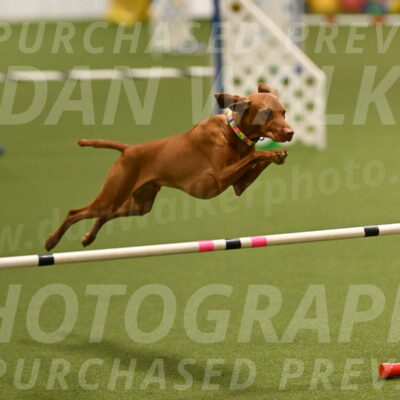 Rumble-Tim-Dillon-02853