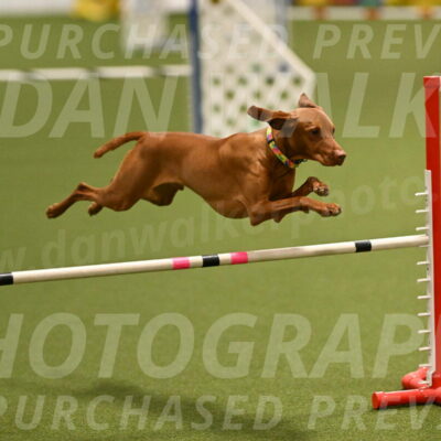 Rumble-Tim-Dillon-02854