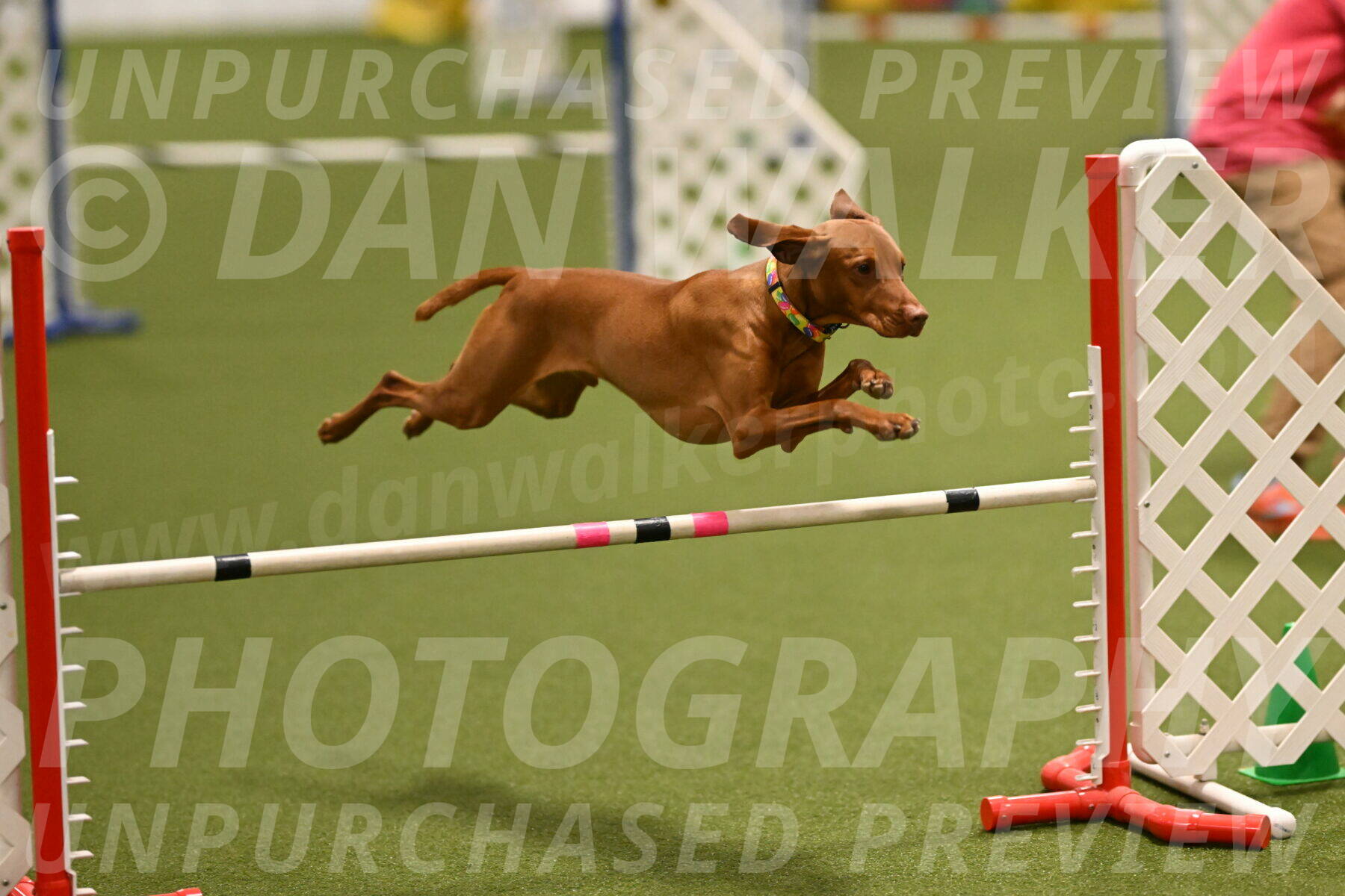 Rumble-Tim-Dillon-02854