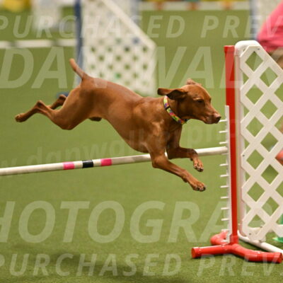 Rumble-Tim-Dillon-02855