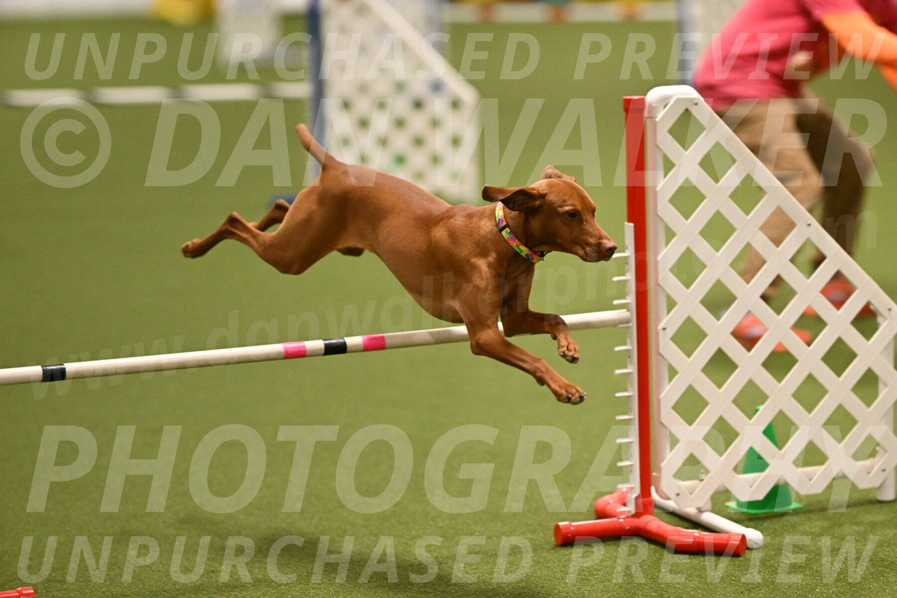 Rumble-Tim-Dillon-02855