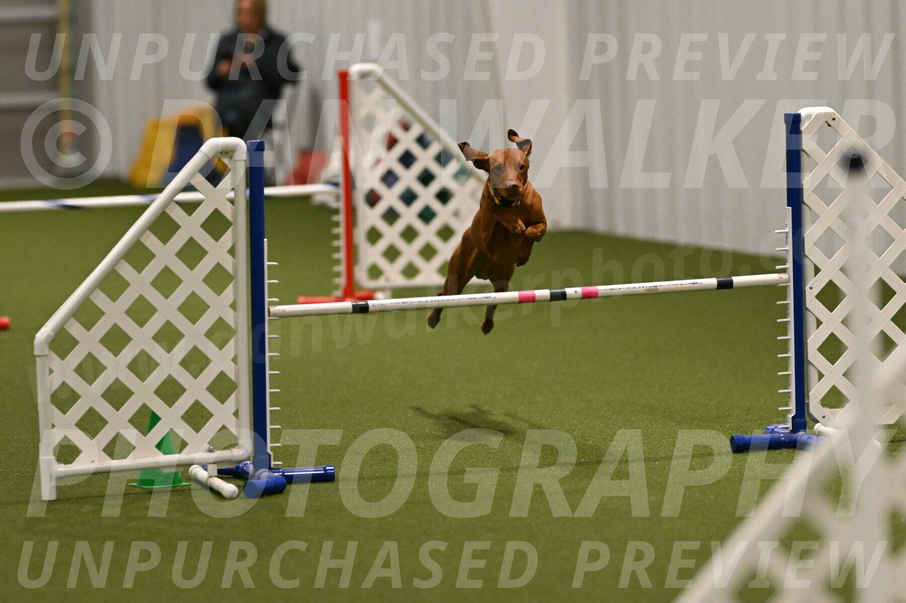 Rumble-Tim-Dillon-02856