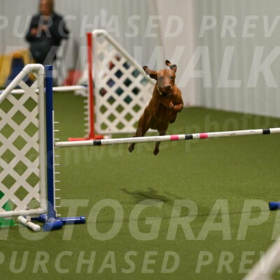 Rumble-Tim-Dillon-02856