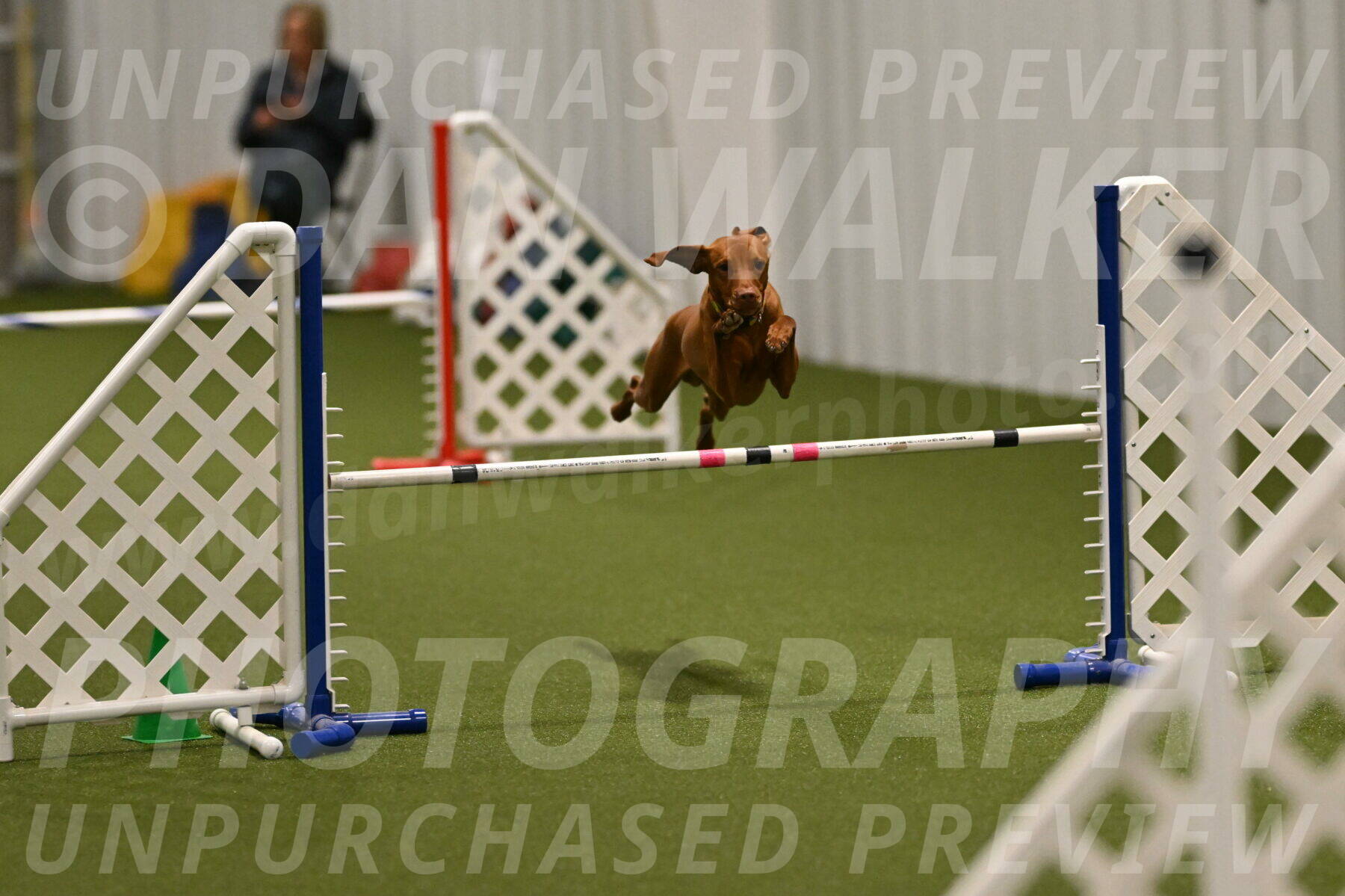 Rumble-Tim-Dillon-02857