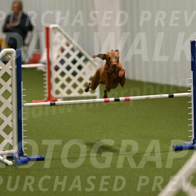 Rumble-Tim-Dillon-02857