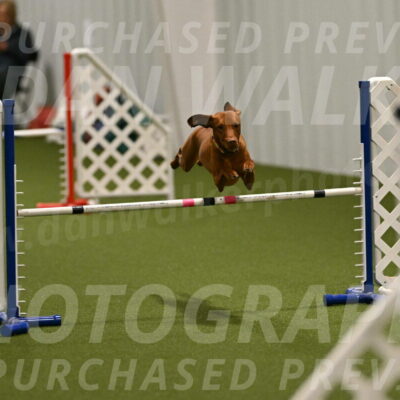 Rumble-Tim-Dillon-02858