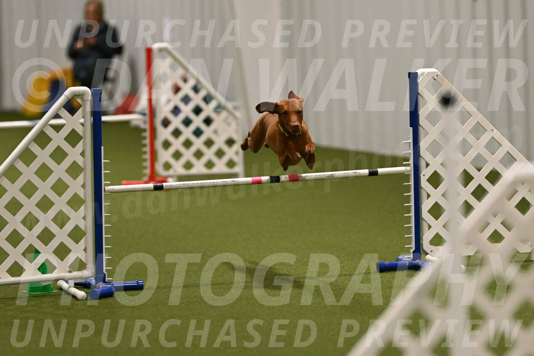 Rumble-Tim-Dillon-02858