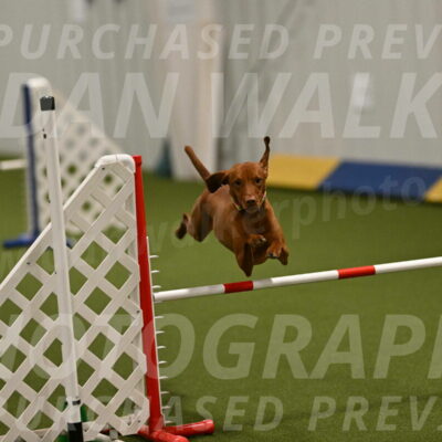 Rumble-Tim-Dillon-02859