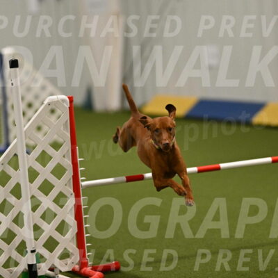 Rumble-Tim-Dillon-02860