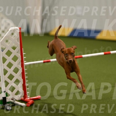 Rumble-Tim-Dillon-02861