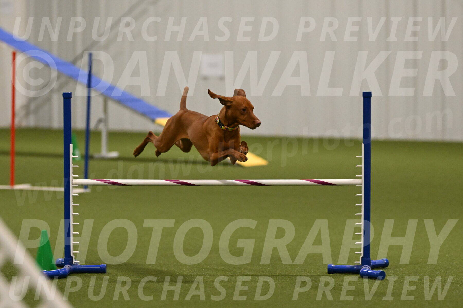 Rumble-Tim-Dillon-02863