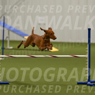 Rumble-Tim-Dillon-02863