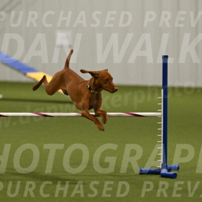 Rumble-Tim-Dillon-02864