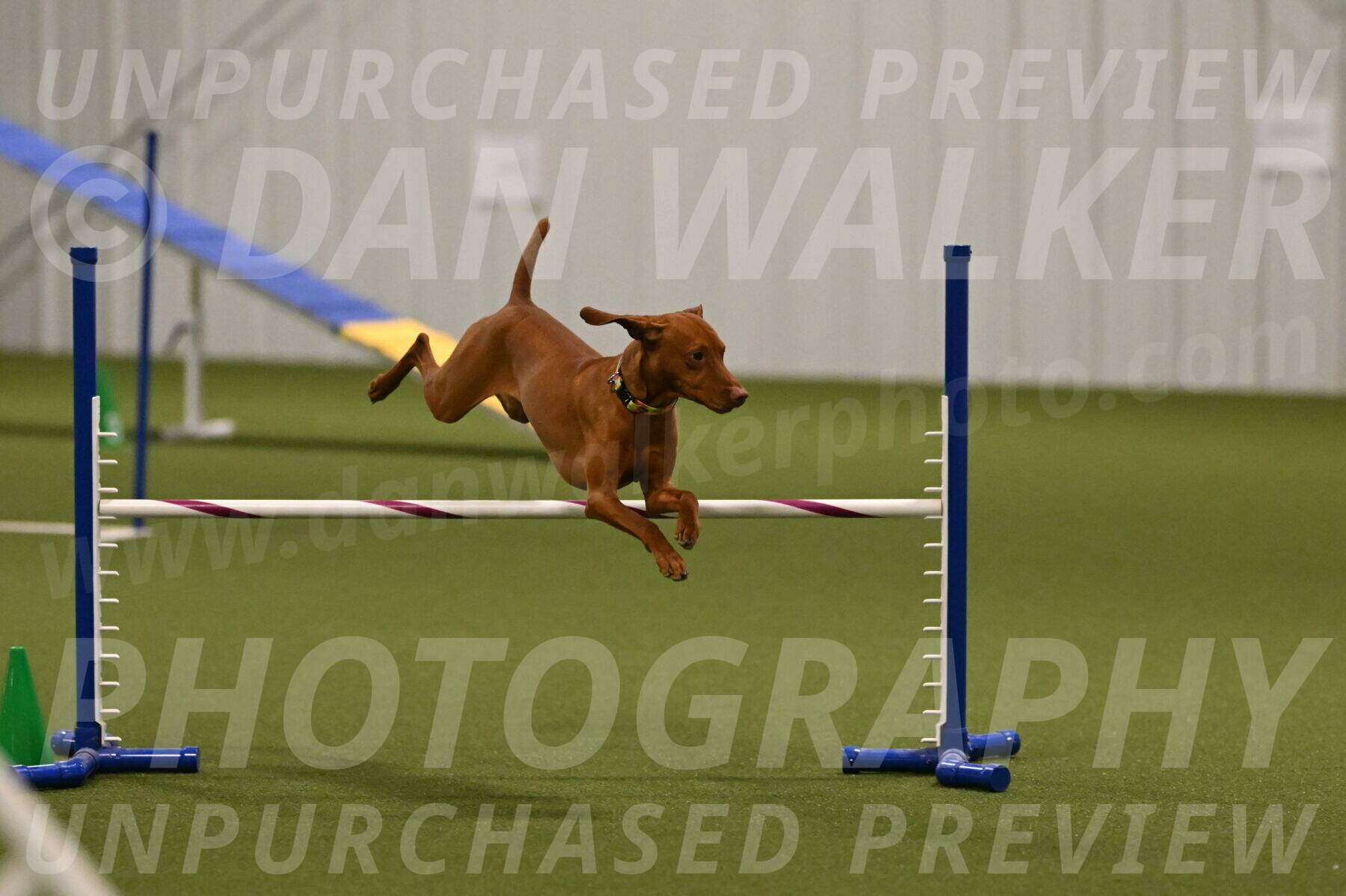 Rumble-Tim-Dillon-02864