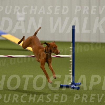 Rumble-Tim-Dillon-02865