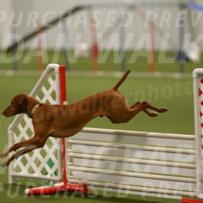 Rumble-Tim-Dillon-02866