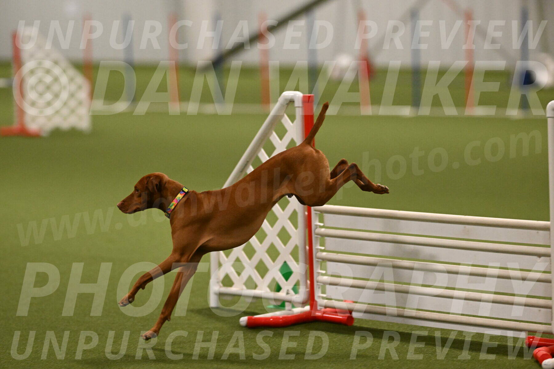 Rumble-Tim-Dillon-02867