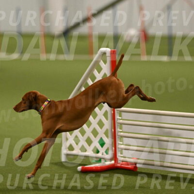 Rumble-Tim-Dillon-02867