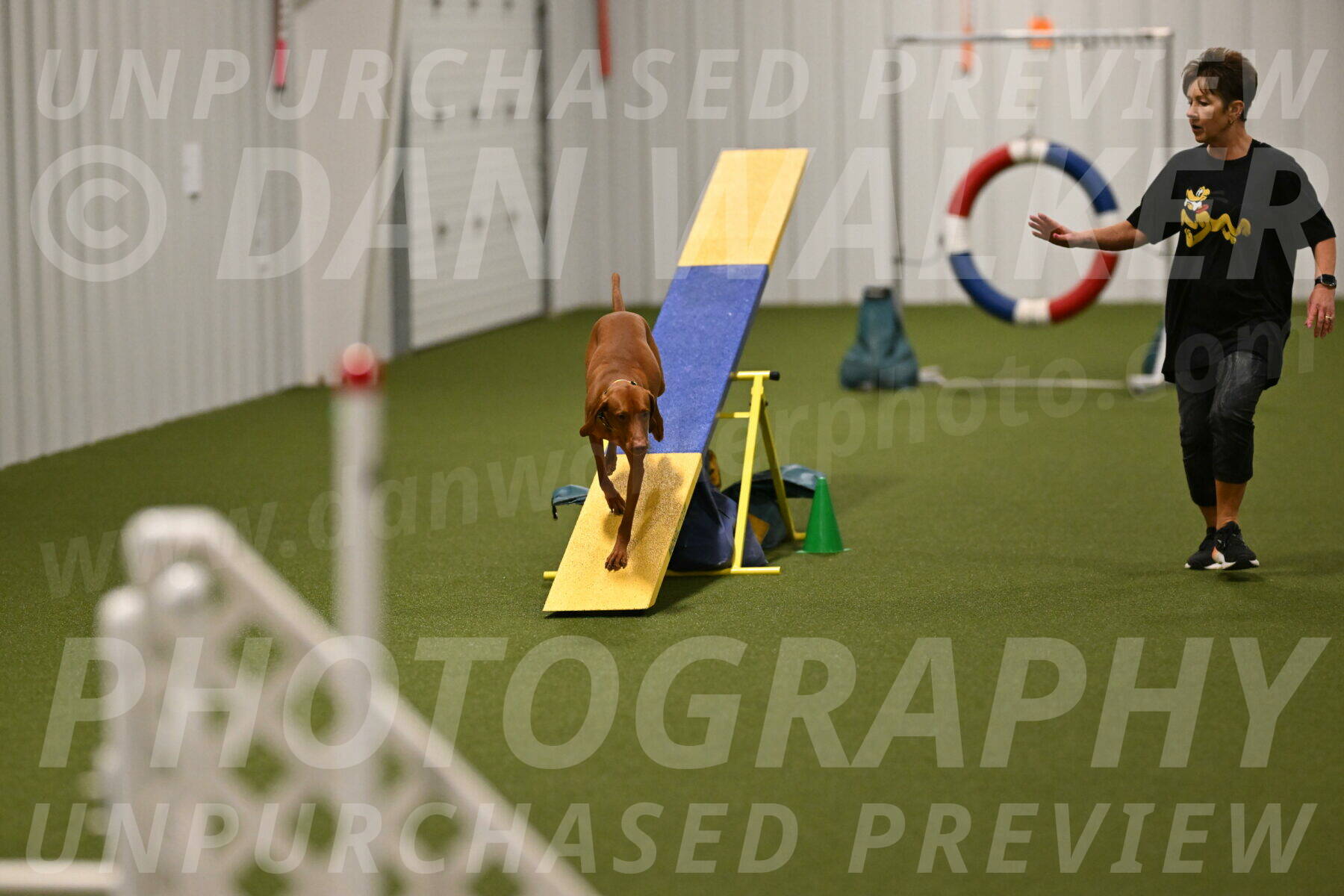 Rumble-Tim-Dillon-02868