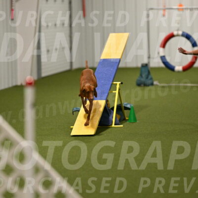 Rumble-Tim-Dillon-02868