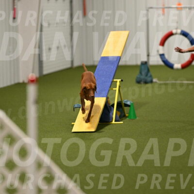 Rumble-Tim-Dillon-02869