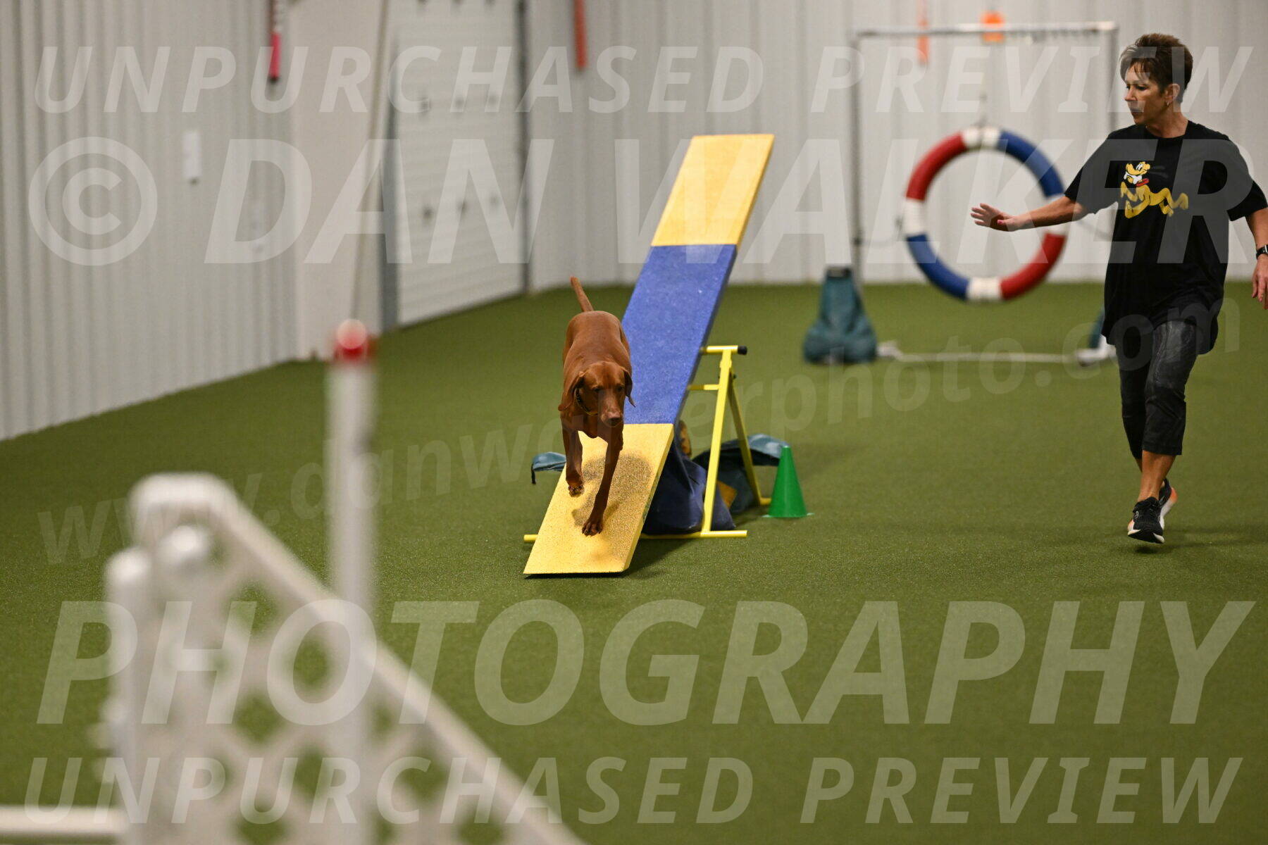 Rumble-Tim-Dillon-02869