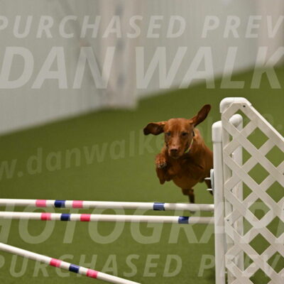 Rumble-Tim-Dillon-02870